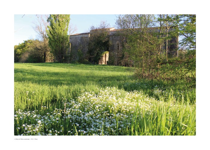 L'abbaye de Châtres au printemps