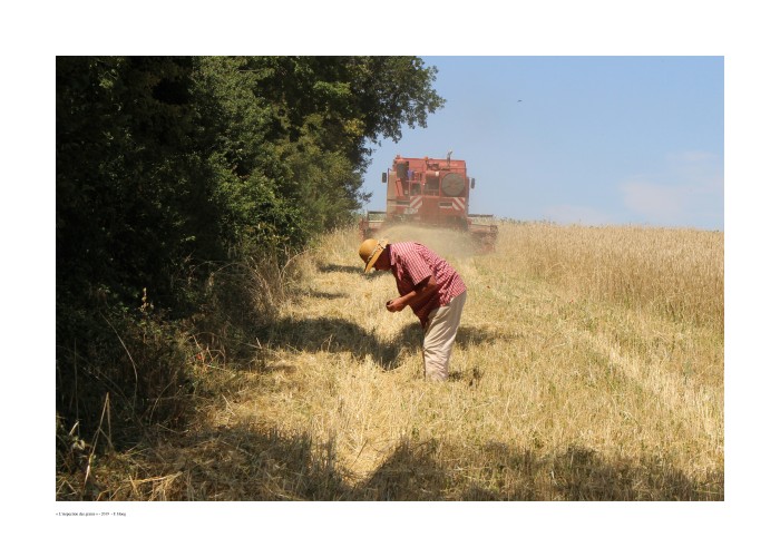 L'inspection des grains